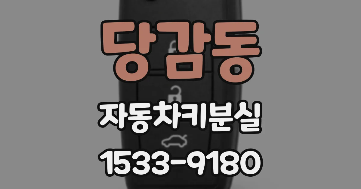 당감동 자동차키분실