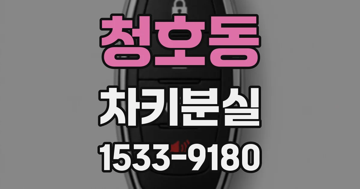 청호동 차키분실
