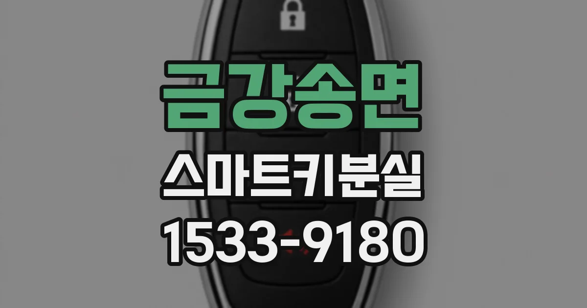 금강송면 스마트키분실
