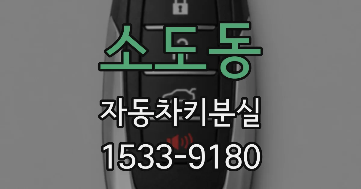 소도동 자동차키분실