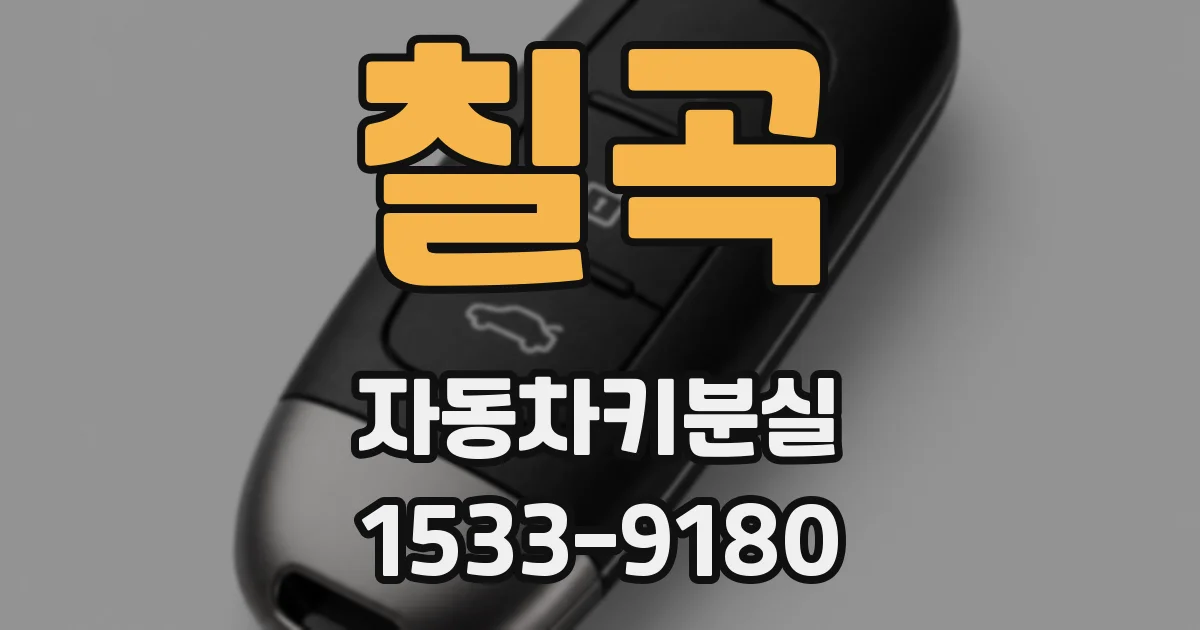 칠곡 자동차키분실