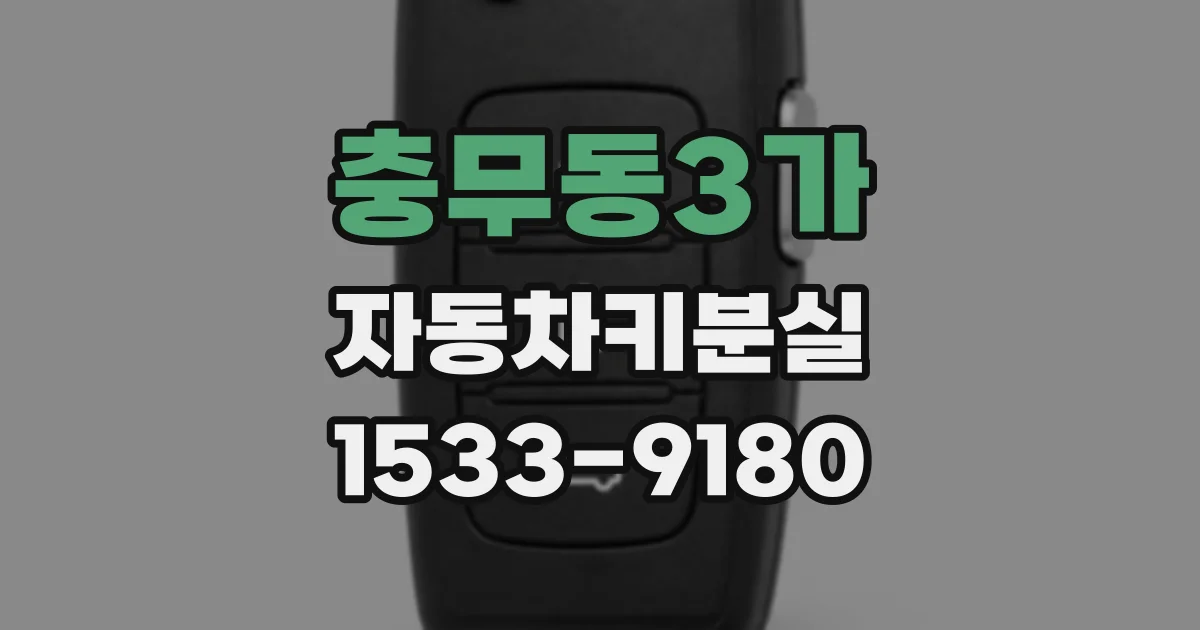 충무동3가 자동차키분실
