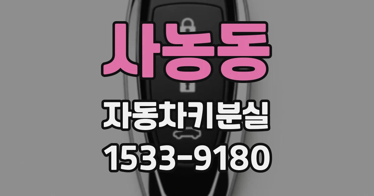 사농동 자동차키분실