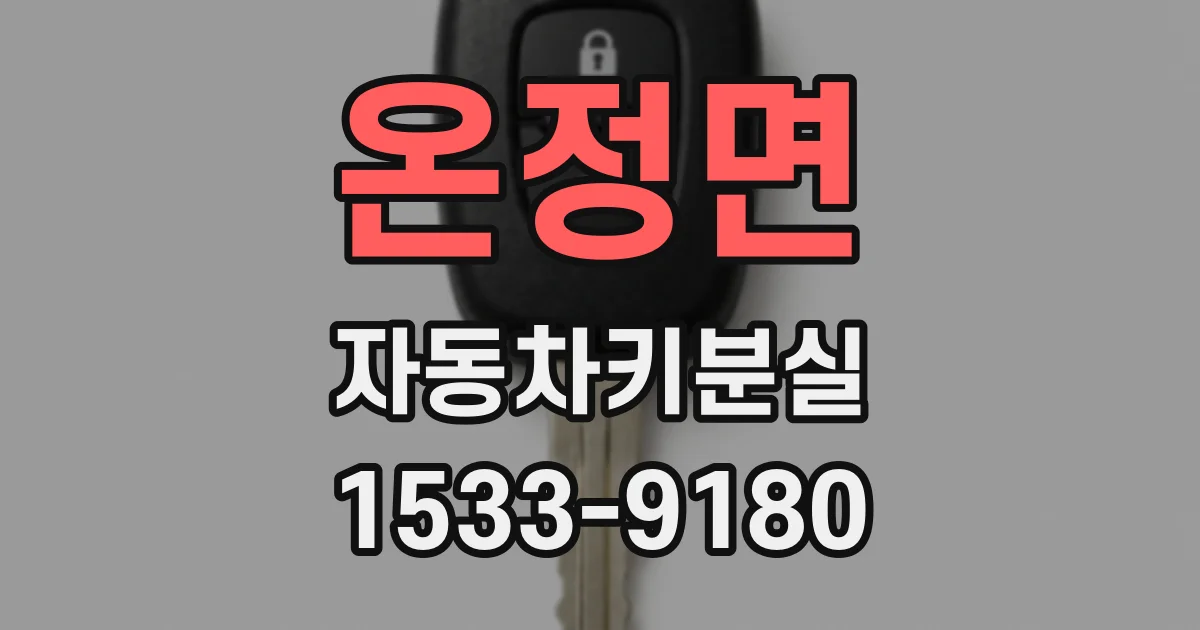 온정면 자동차키분실