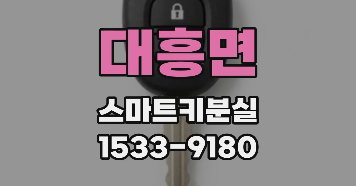 대흥면 스마트키분실