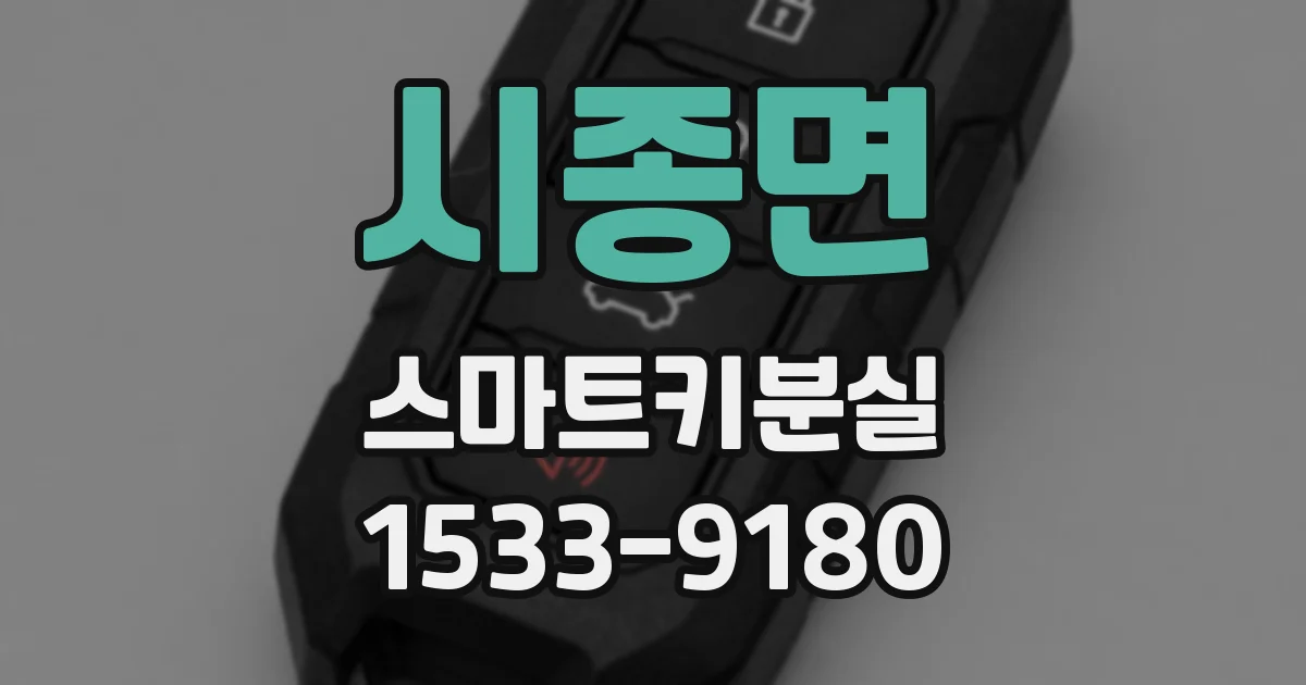 시종면 스마트키분실