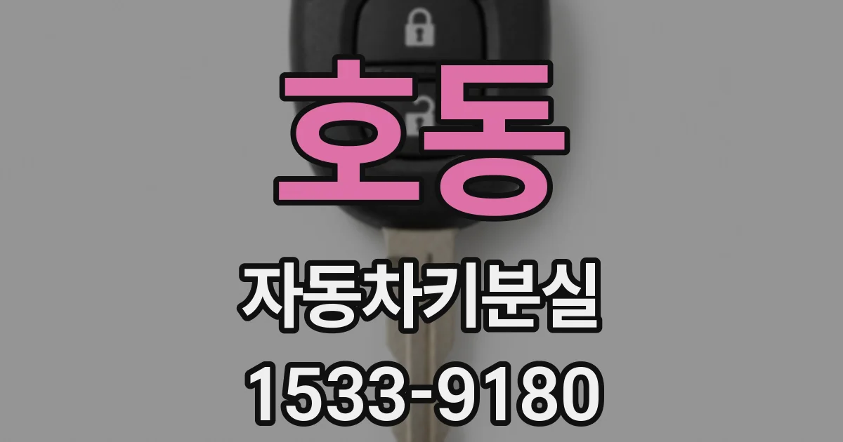 호동 자동차키분실