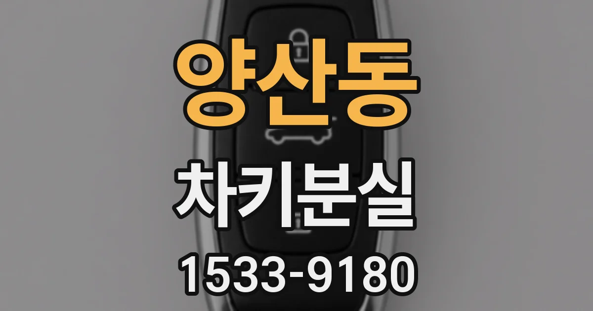 양산동 차키분실
