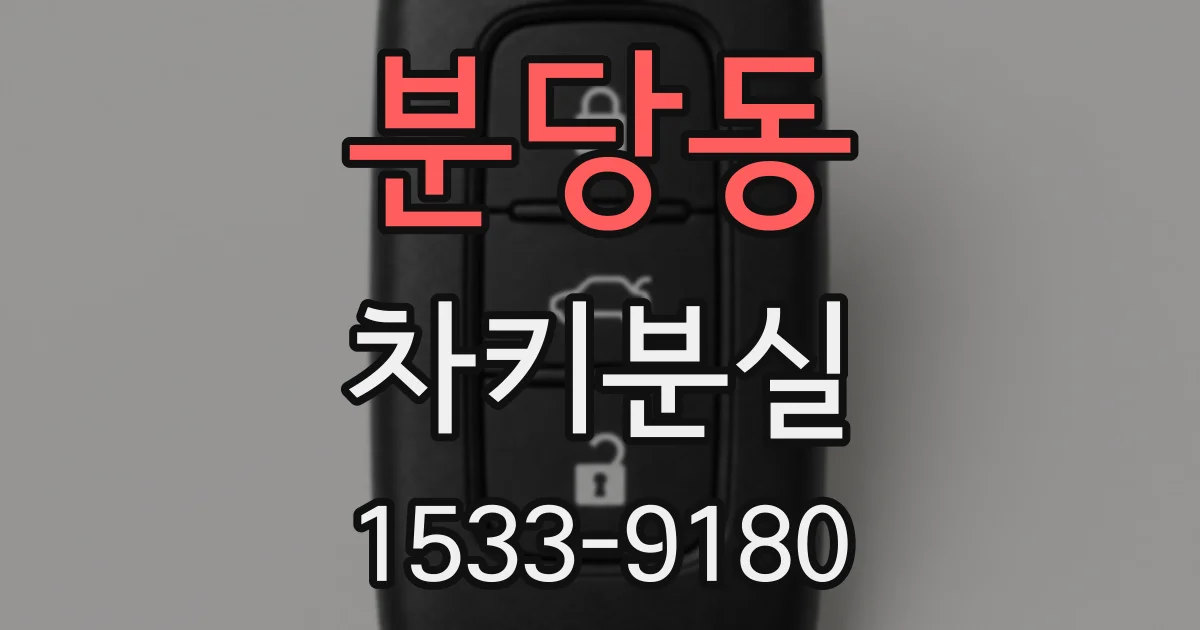 분당동 차키분실