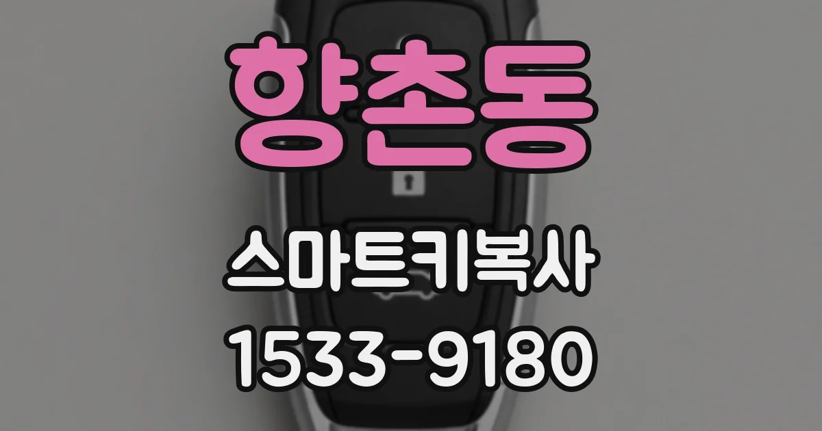향촌동 스마트키복사