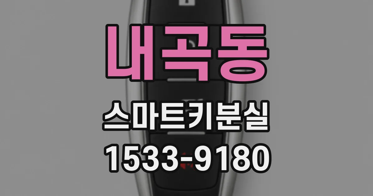 내곡동 스마트키분실