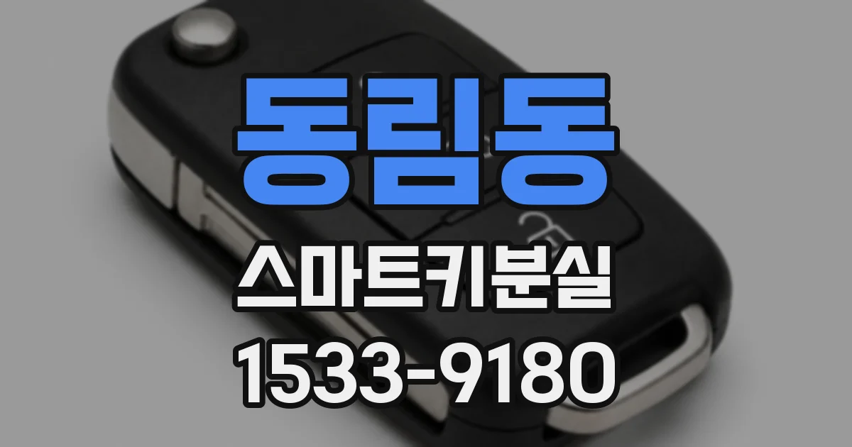 동림동 스마트키분실