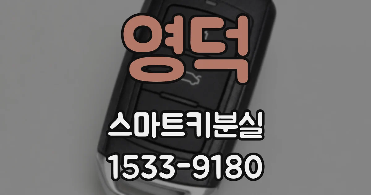 영덕 스마트키분실