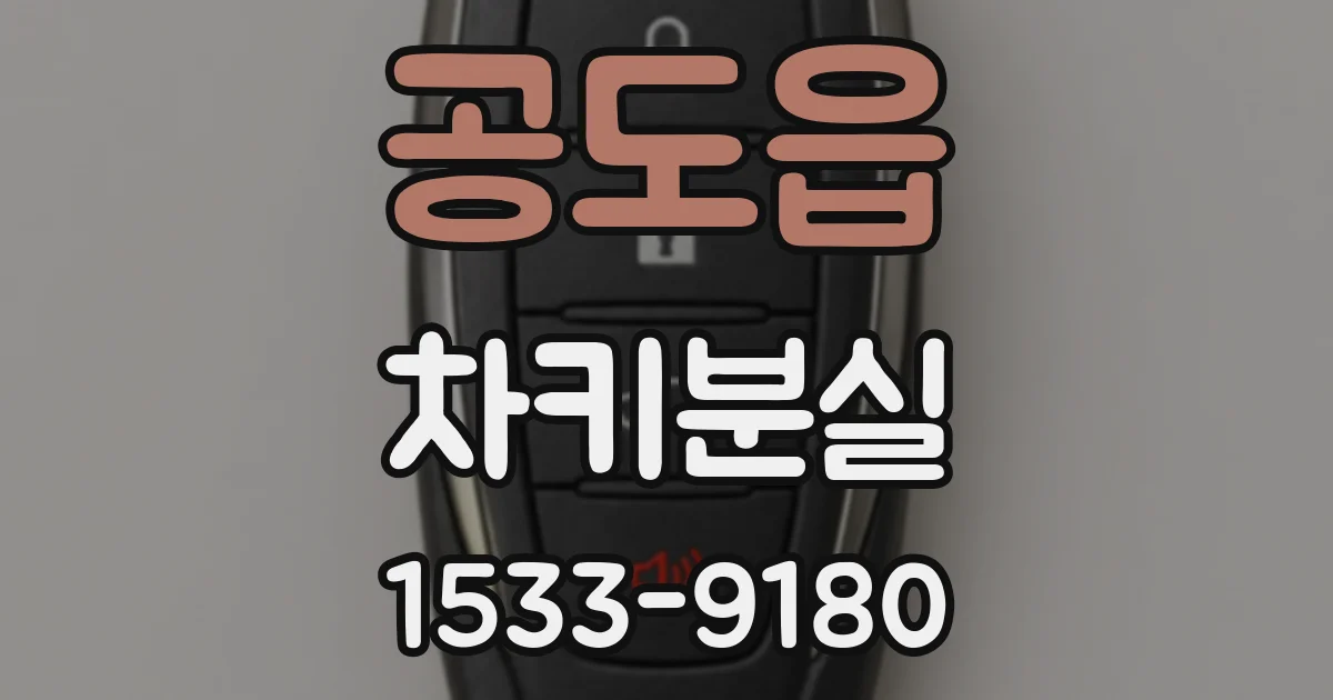 공도읍 차키분실
