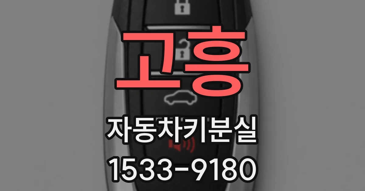 고흥 자동차키분실