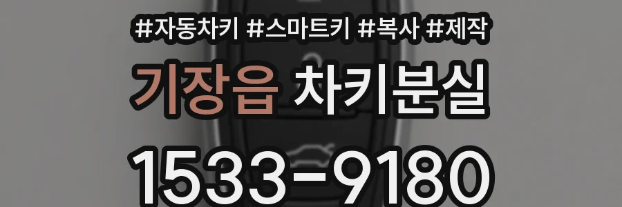 기장읍 차키분실