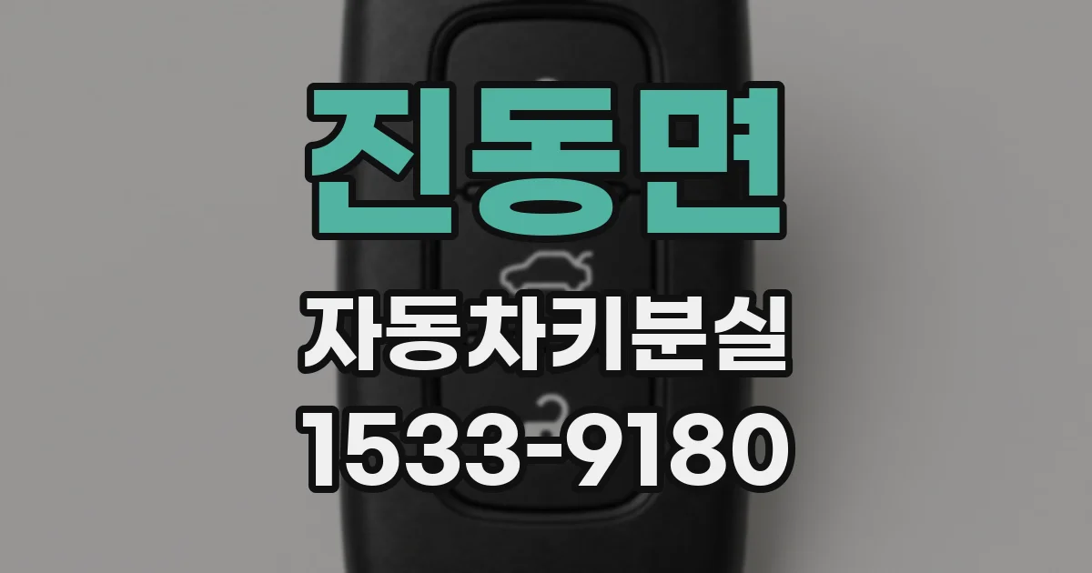 진동면 자동차키분실