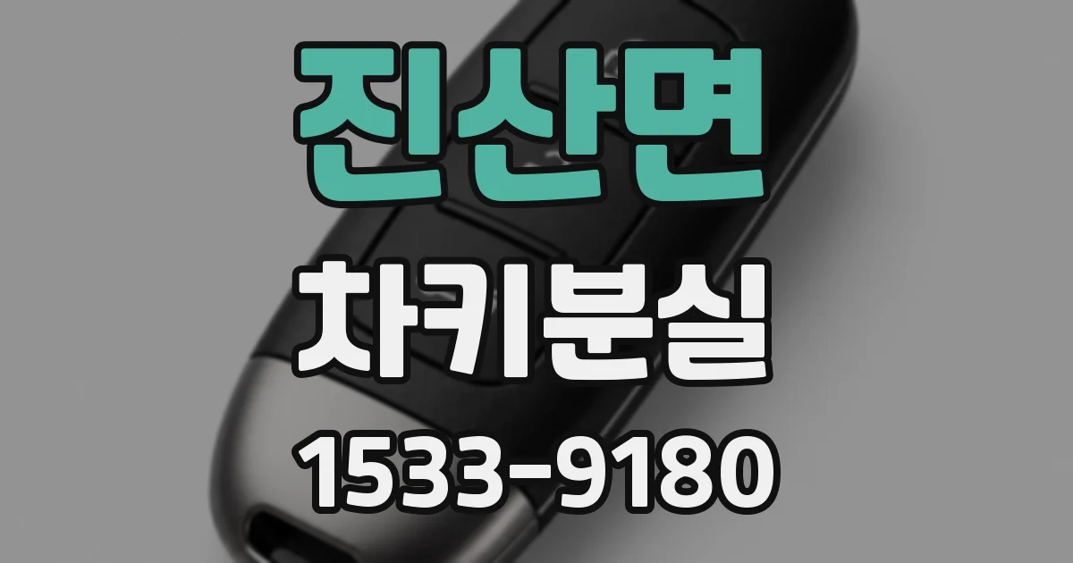 진산면 차키분실