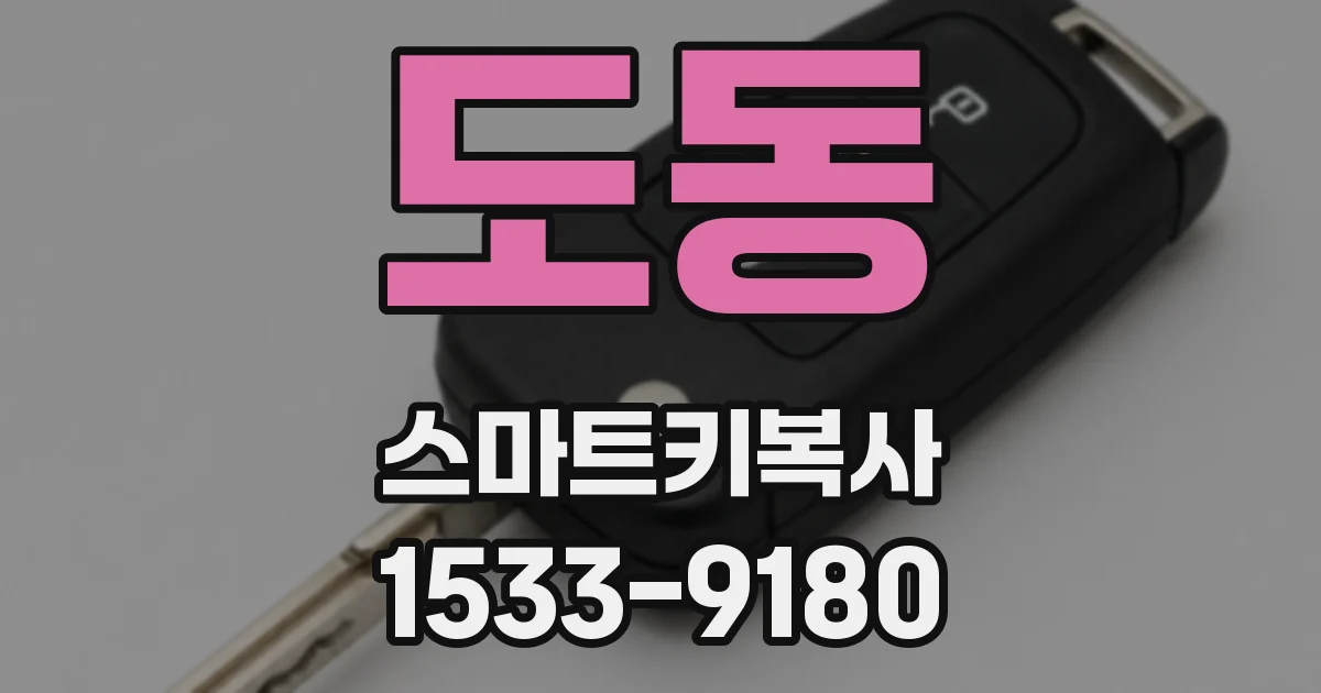 도동 스마트키복사