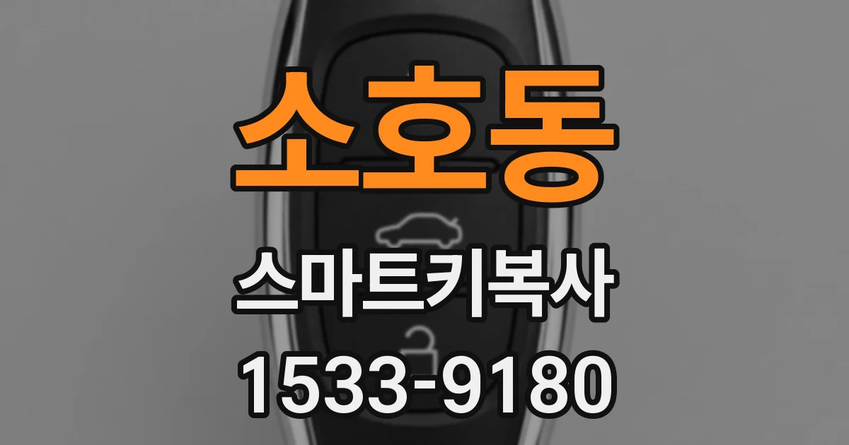 소호동 스마트키복사