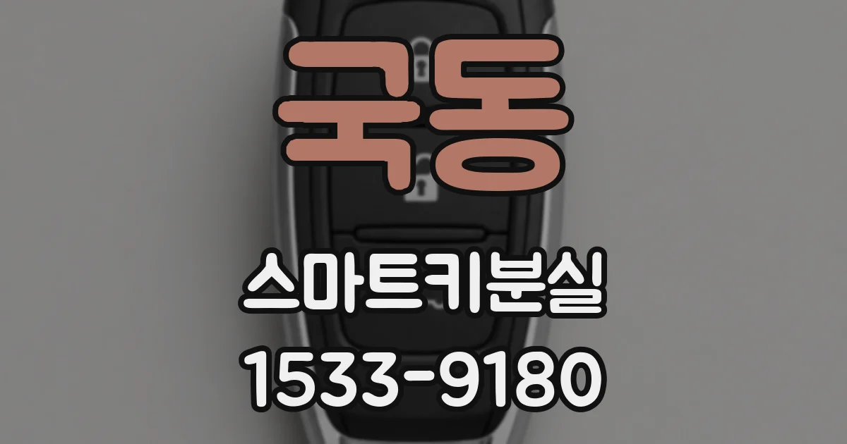 국동 스마트키분실