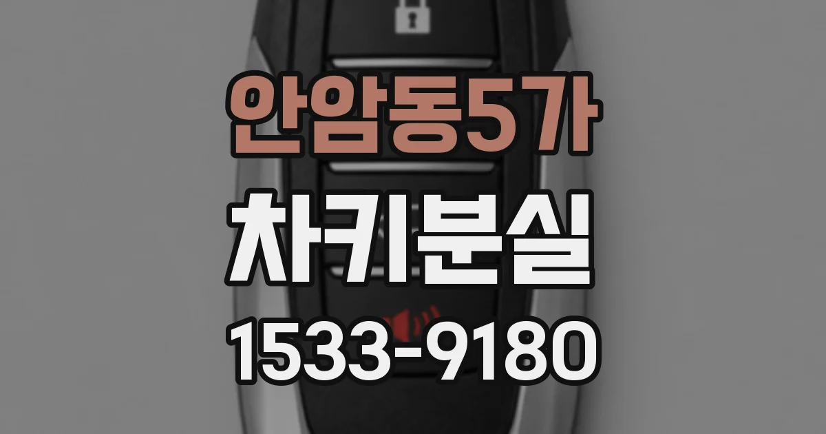 안암동5가 차키분실