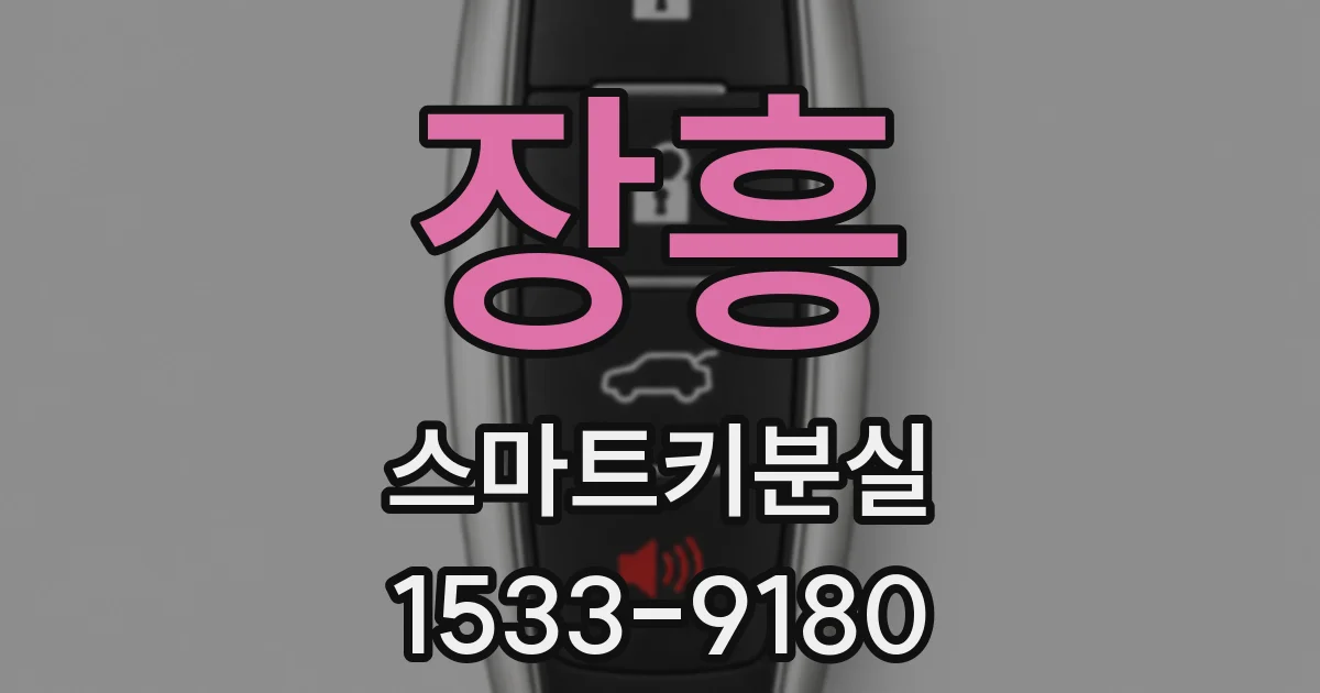 장흥 스마트키분실