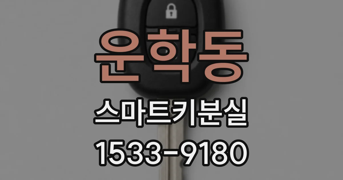 운학동 스마트키분실