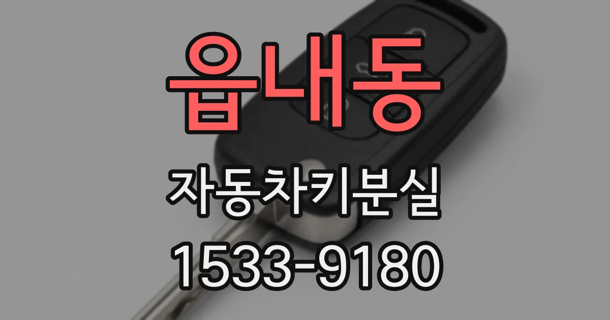 읍내동 자동차키분실