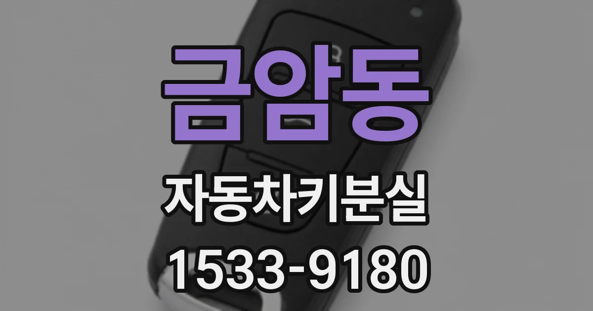 금암동 자동차키분실