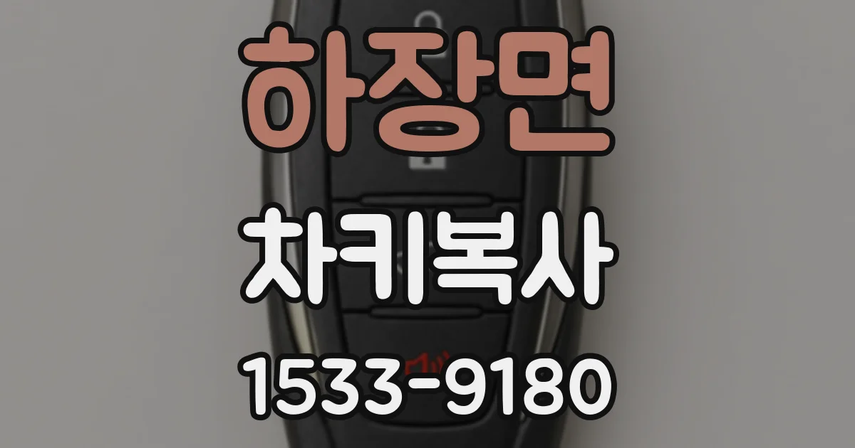 하장면 차키복사