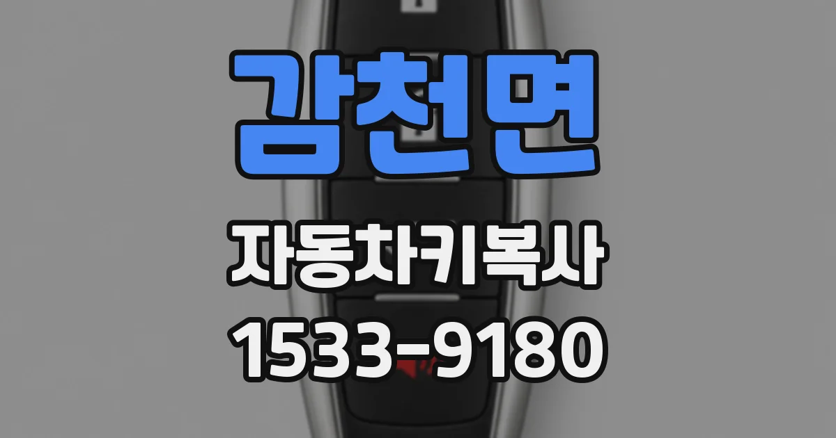 감천면 자동차키복사