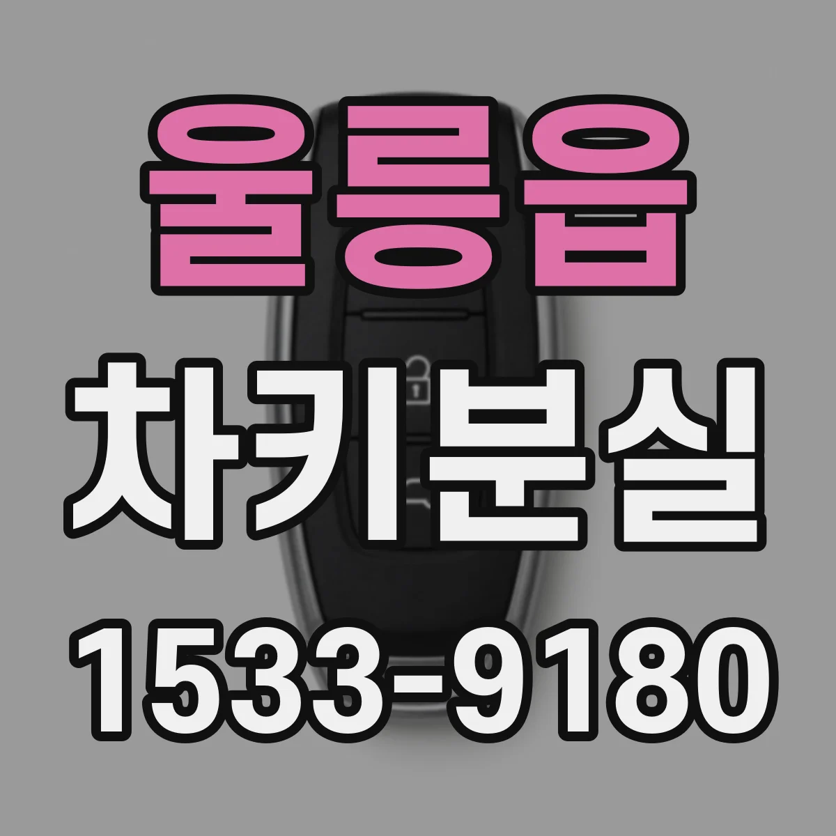 울릉읍 차키분실