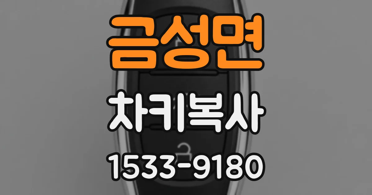 금성면 차키복사