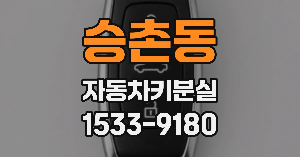 승촌동 자동차키분실