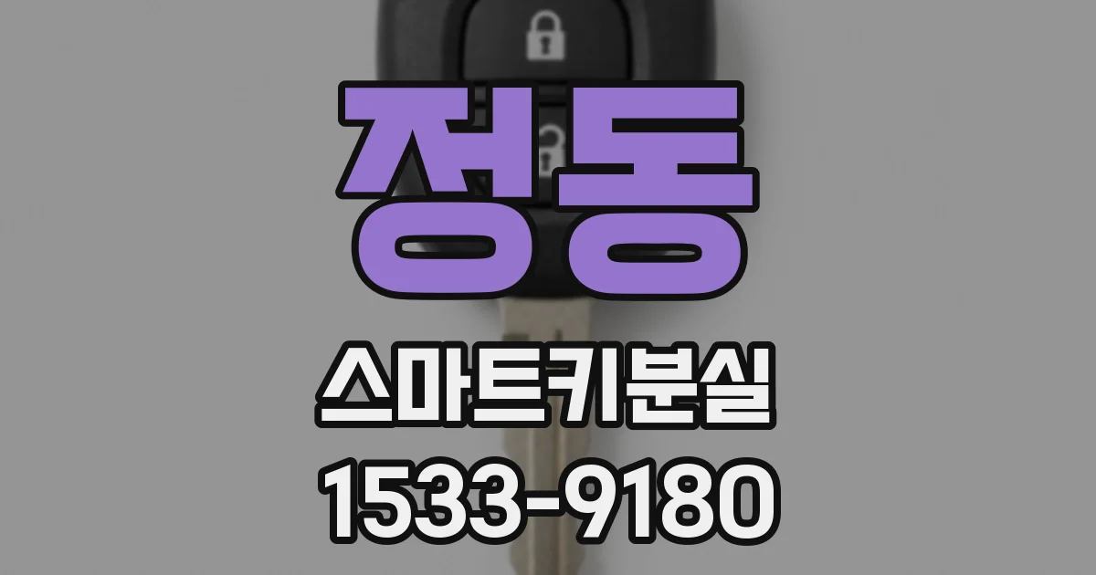 정동 스마트키분실