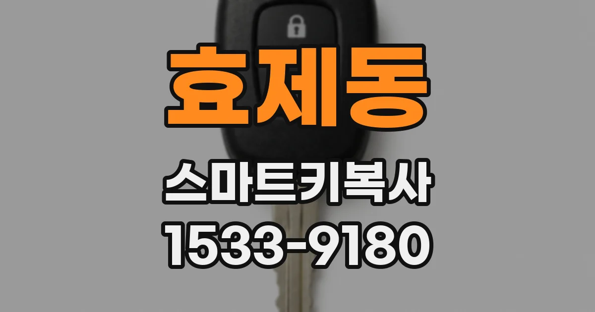 효제동 스마트키복사