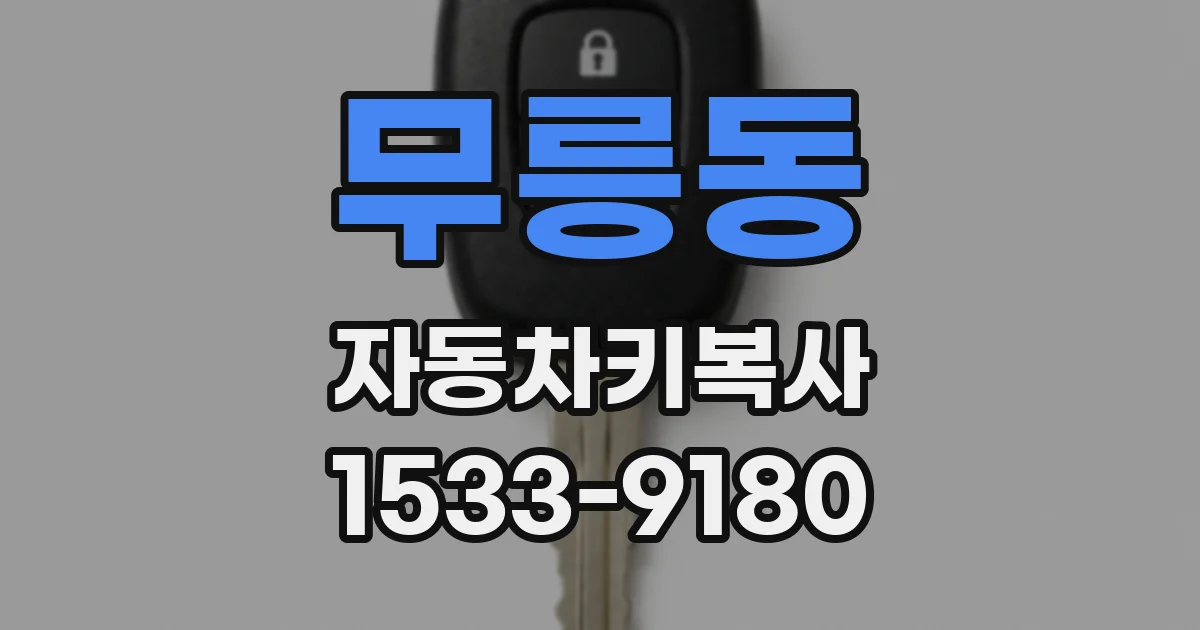 무릉동 자동차키복사