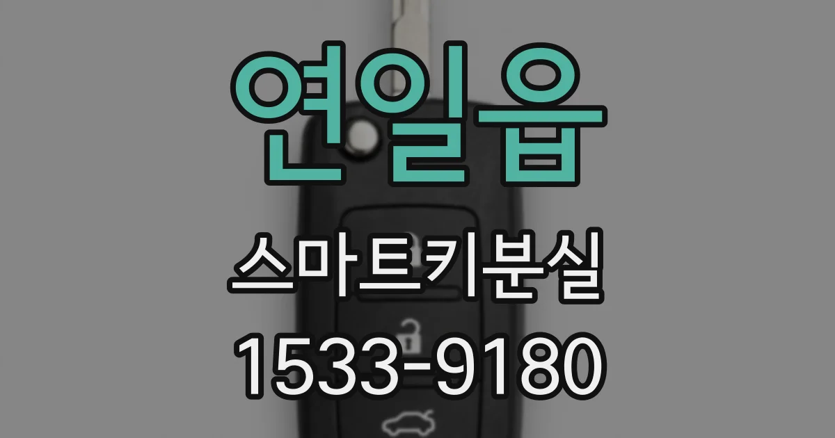 연일읍 스마트키분실