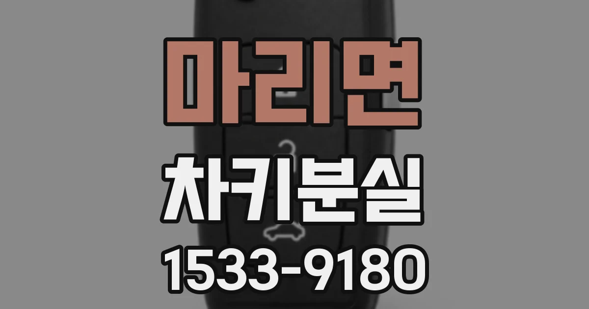 마리면 차키분실