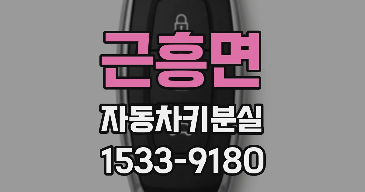 근흥면 자동차키분실