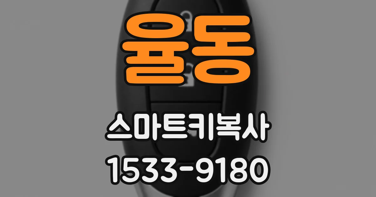 율동 스마트키복사