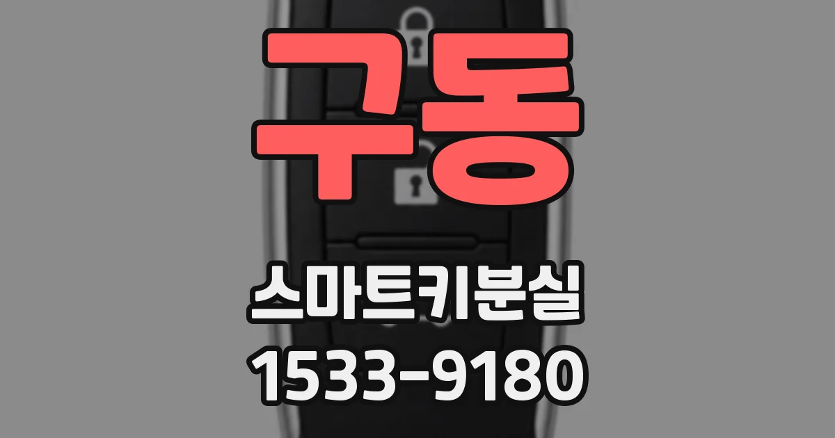 구동 스마트키분실