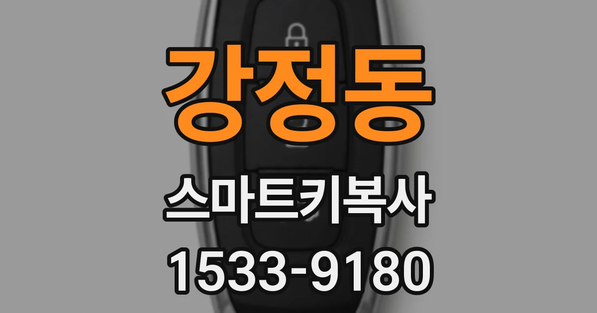강정동 스마트키복사