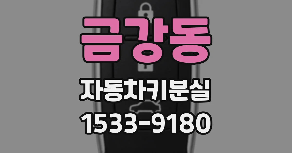 금강동 자동차키분실
