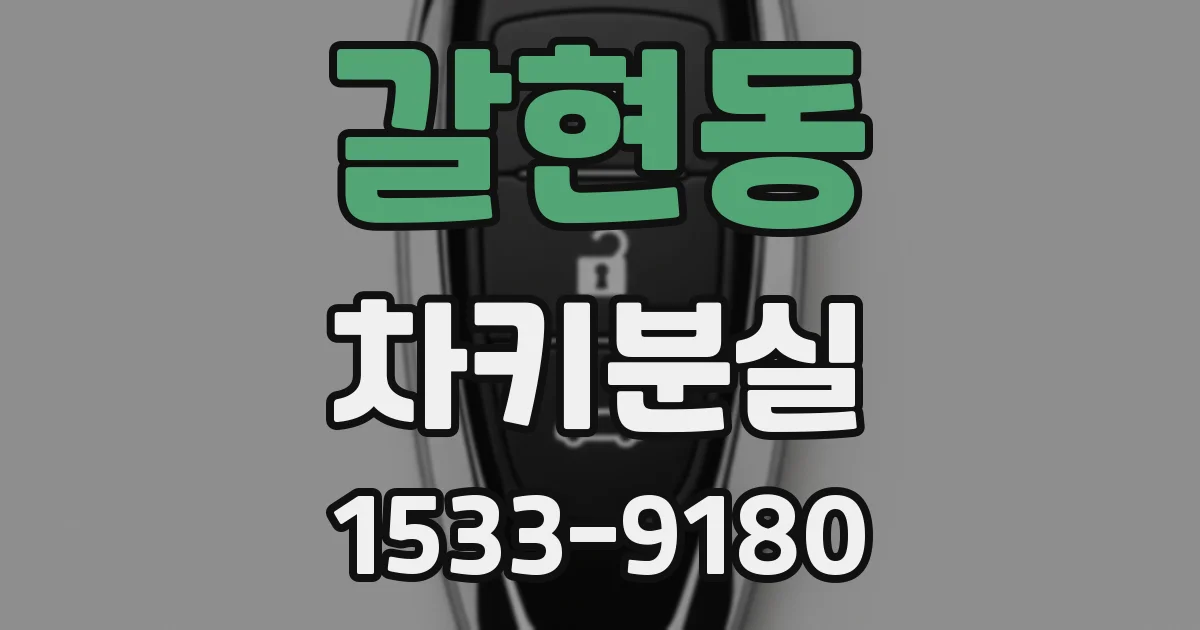 갈현동 차키분실