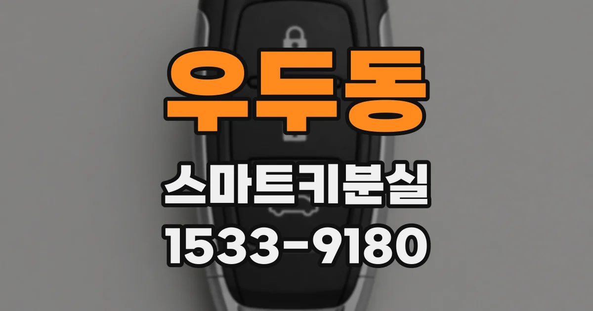 우두동 스마트키분실