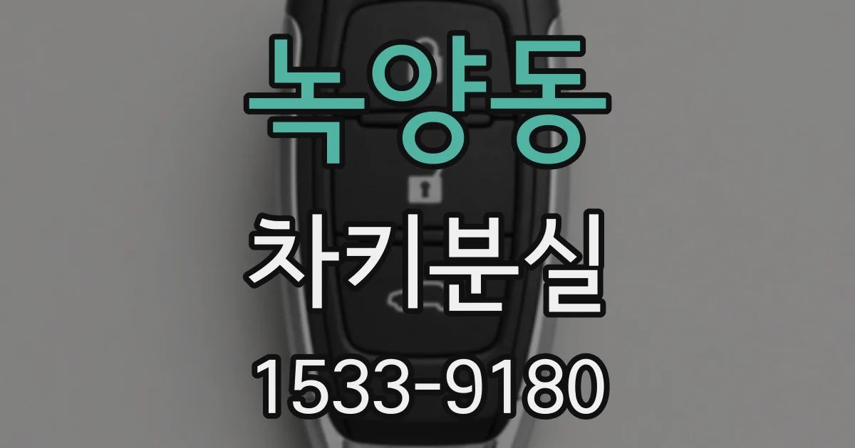 녹양동 차키분실