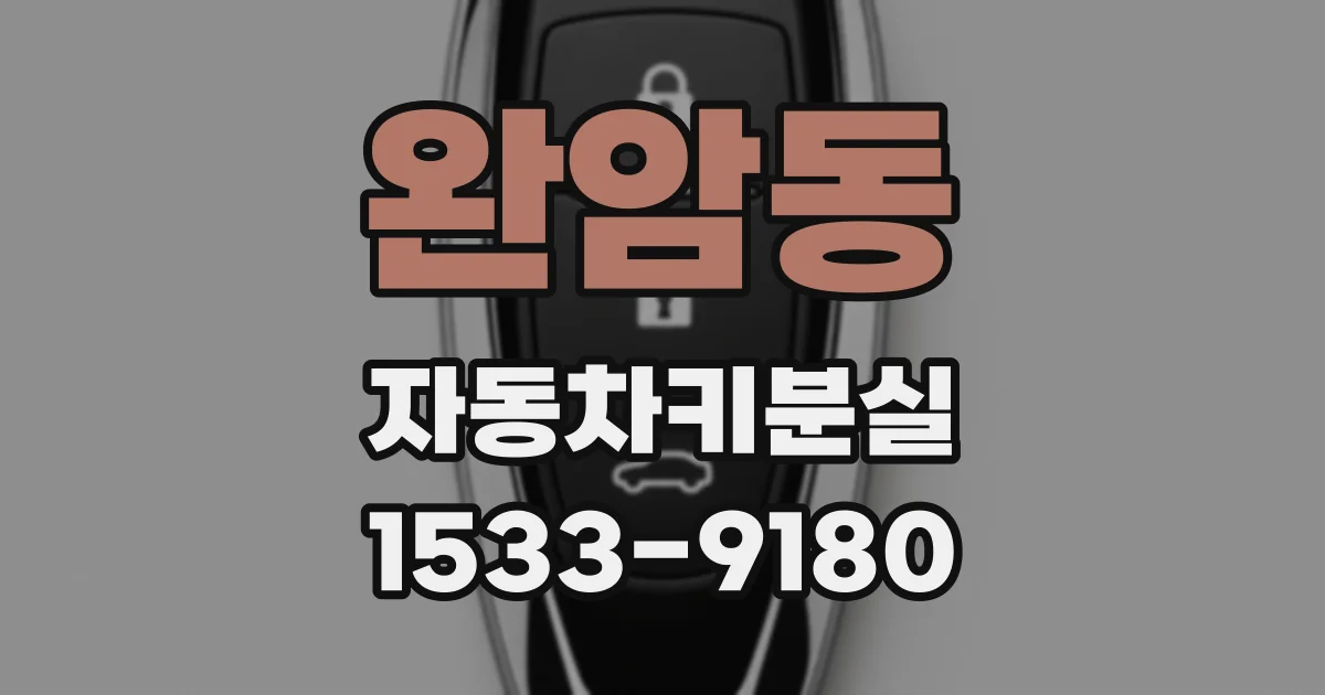 완암동 자동차키분실