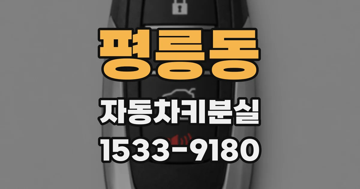 평릉동 자동차키분실